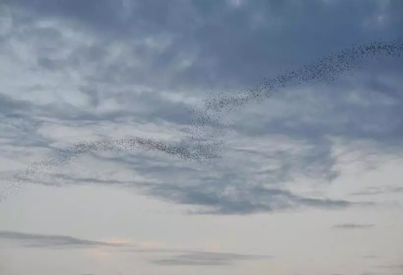 ペンション Ora Sunrise View