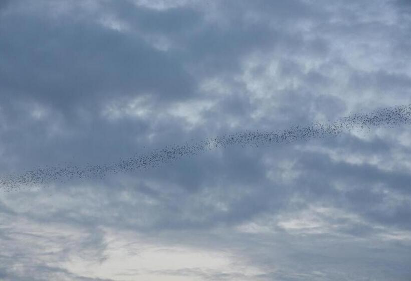 بنسيون Ora Sunrise View