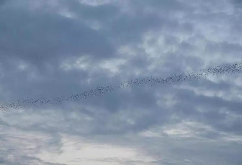 ペンション Ora Sunrise View