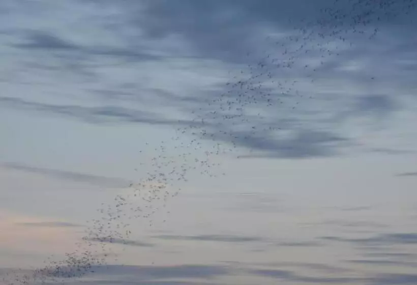 ペンション Ora Sunrise View