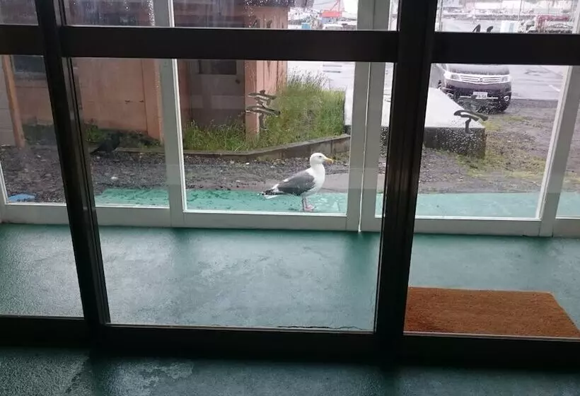 ペンション Ryokan Saihokutei