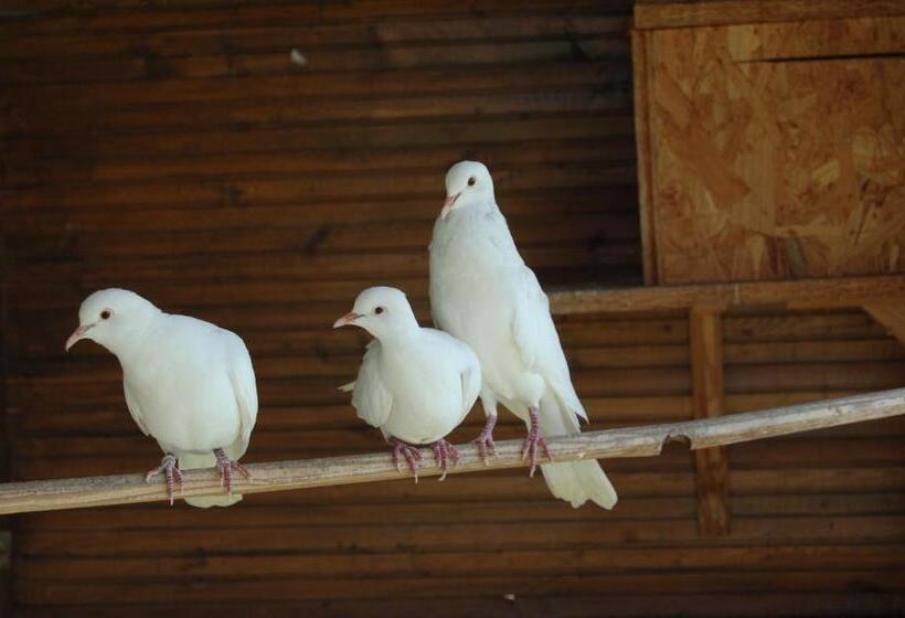 펜션 Une Pause à La Campagne