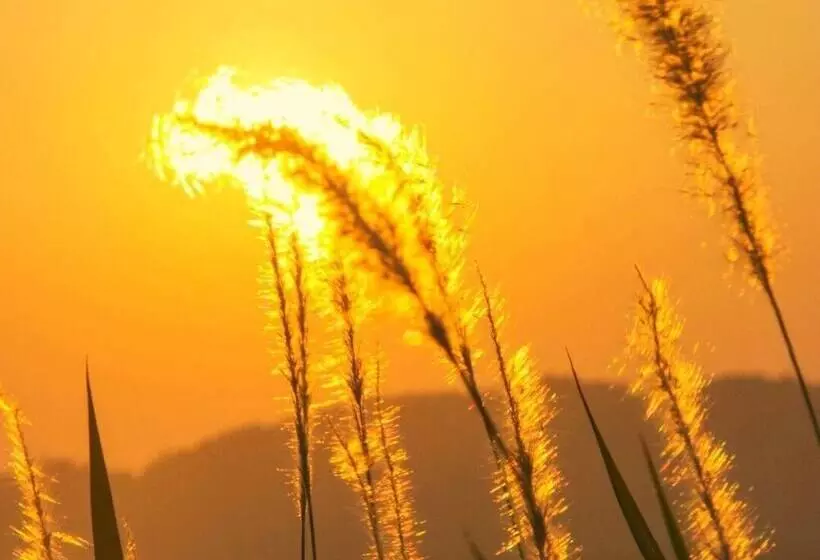 Hotelli Ecologic Thailand