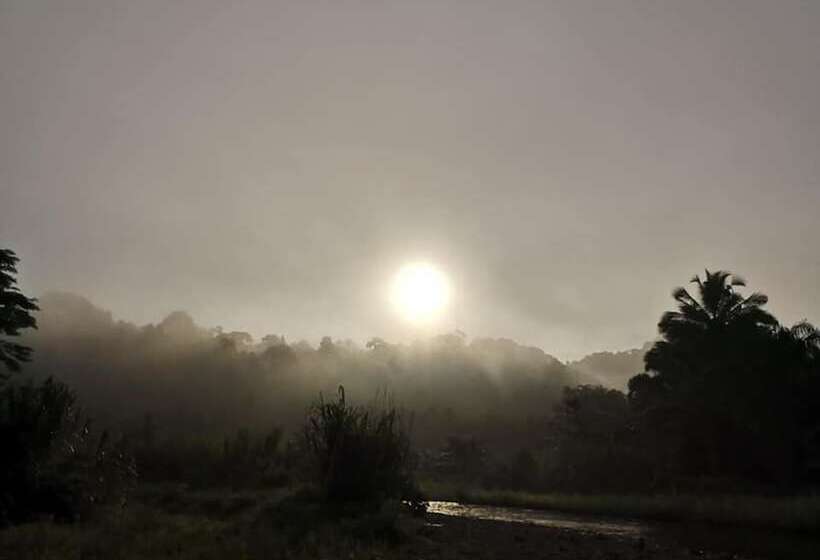 Hotel Ecologic Thailand