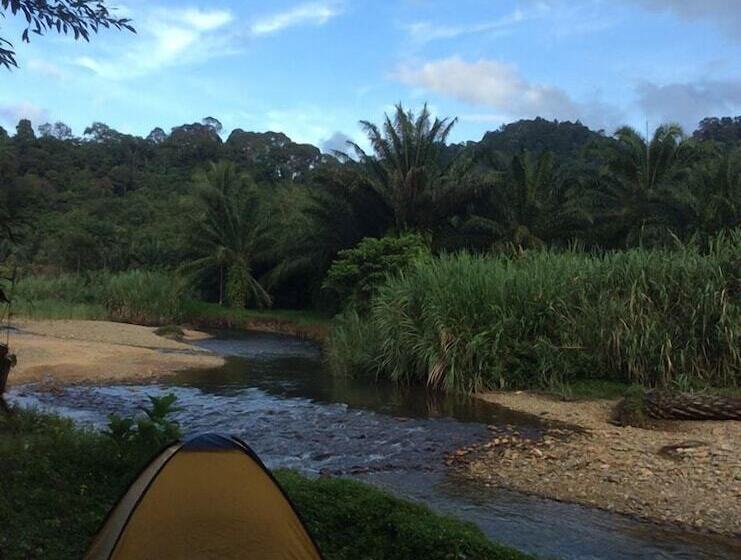 Hotel Ecologic Thailand