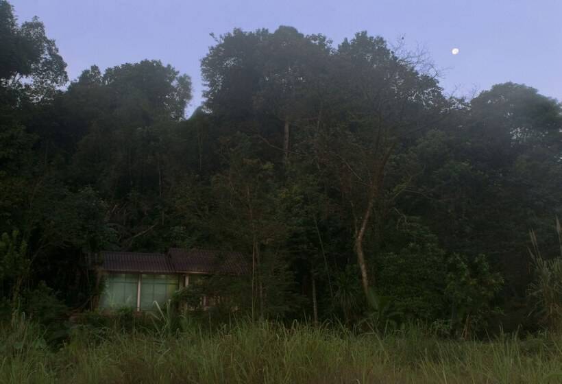 Hotel Ecologic Thailand