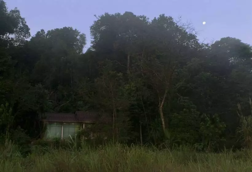 Hotelli Ecologic Thailand