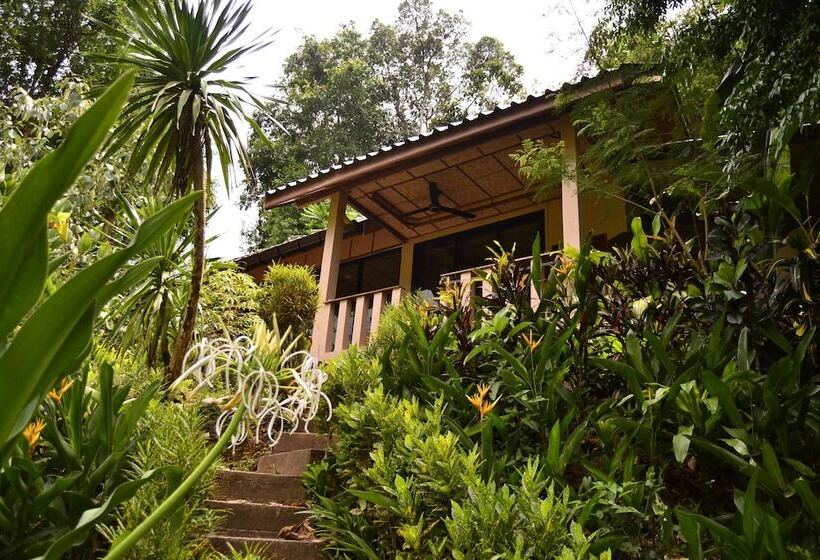 Hotel Ecologic Thailand