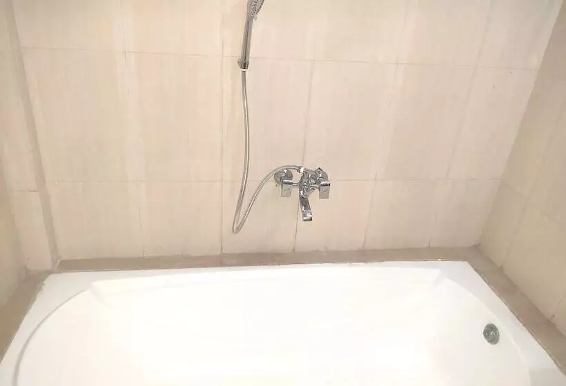 ホテル Neelam Palace