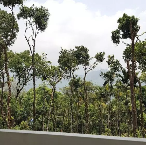 Bed & Breakfast Tree Blanche Munnar