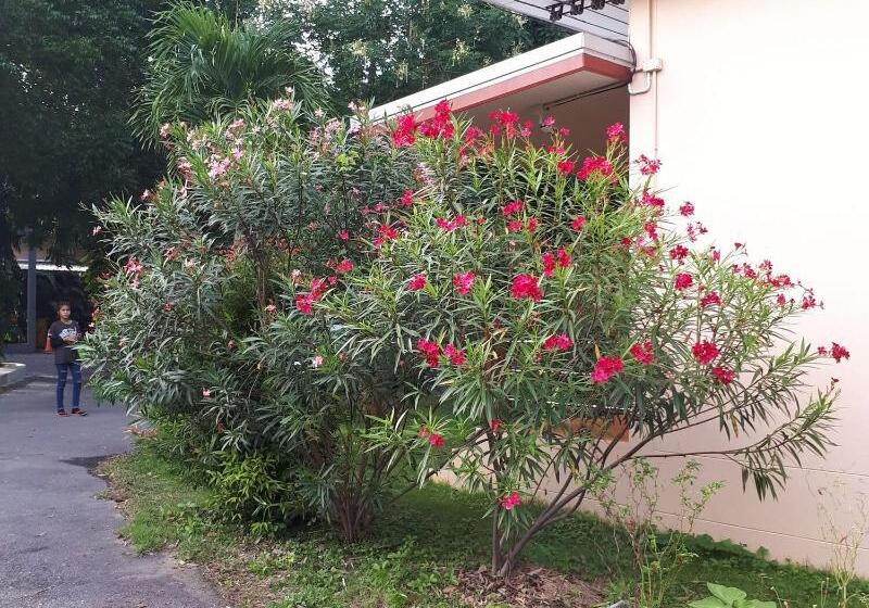 בית מלון כפרי Baan Rimnam Resort