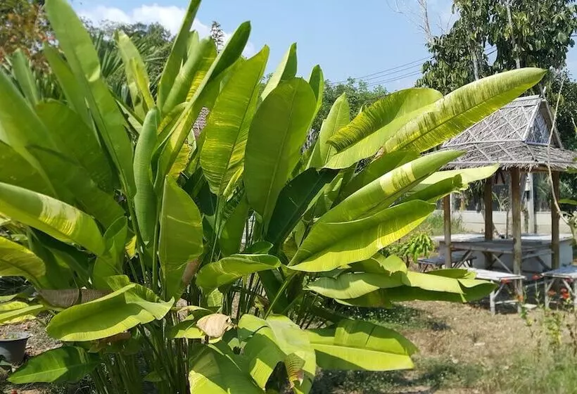 ホテル Baanpoonana