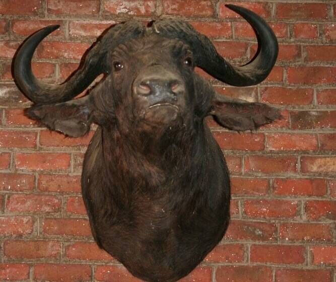 Hotel Ebenhaeser Guest Farm