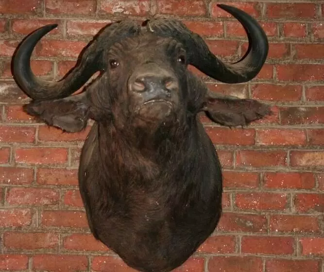 Hotelli Ebenhaeser Guest Farm