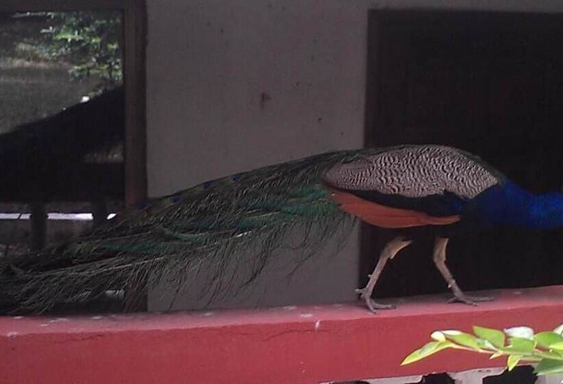 酒店 Konkon Wonderland