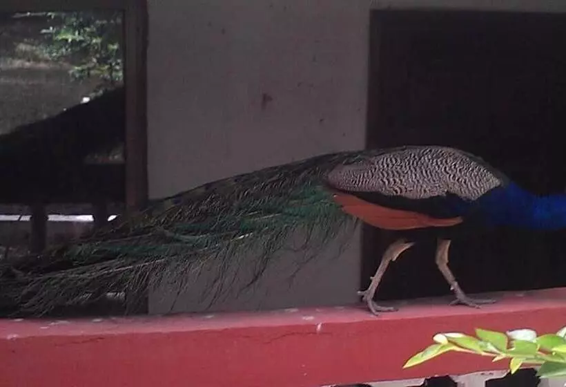 ホテル Konkon Wonderland