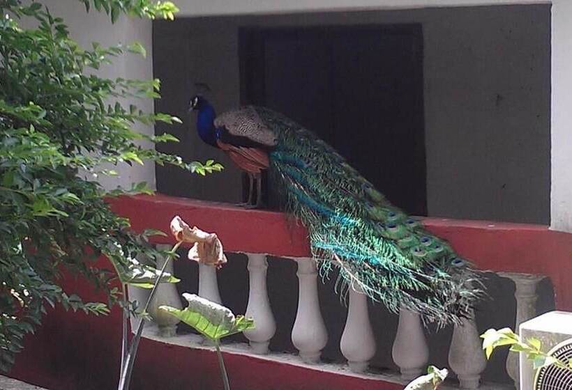 酒店 Konkon Wonderland