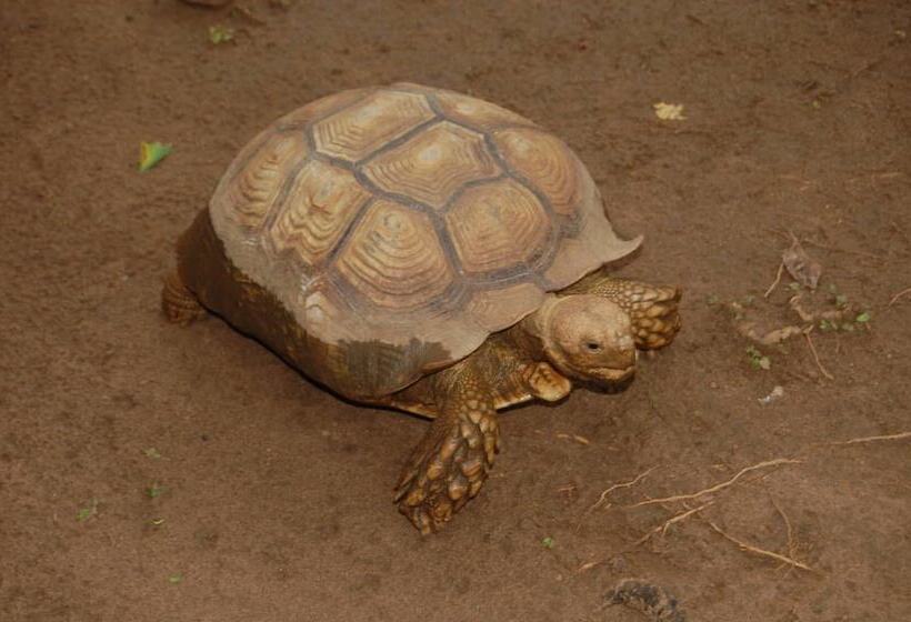 酒店 Konkon Wonderland