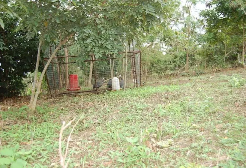 ホテル Konkon Wonderland