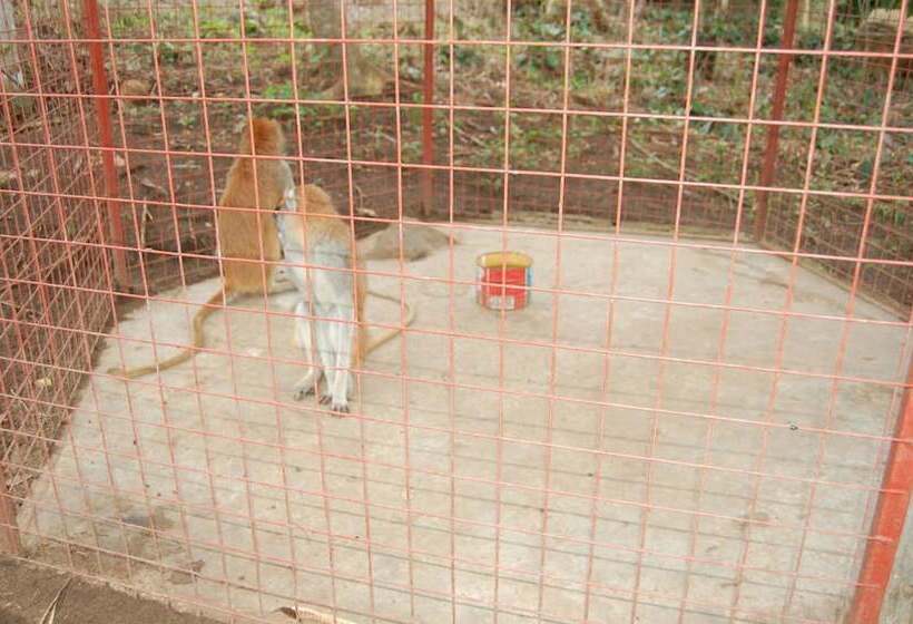 酒店 Konkon Wonderland