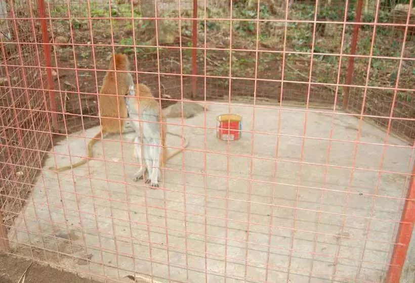 ホテル Konkon Wonderland