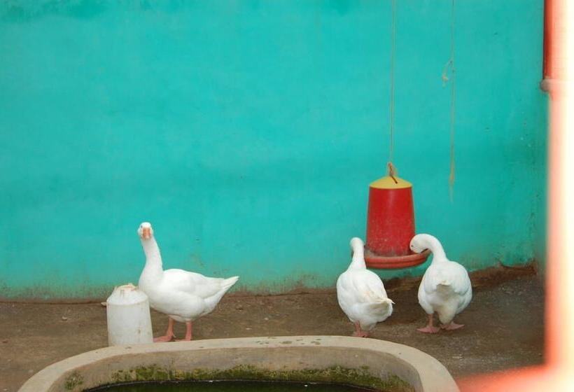 酒店 Konkon Wonderland