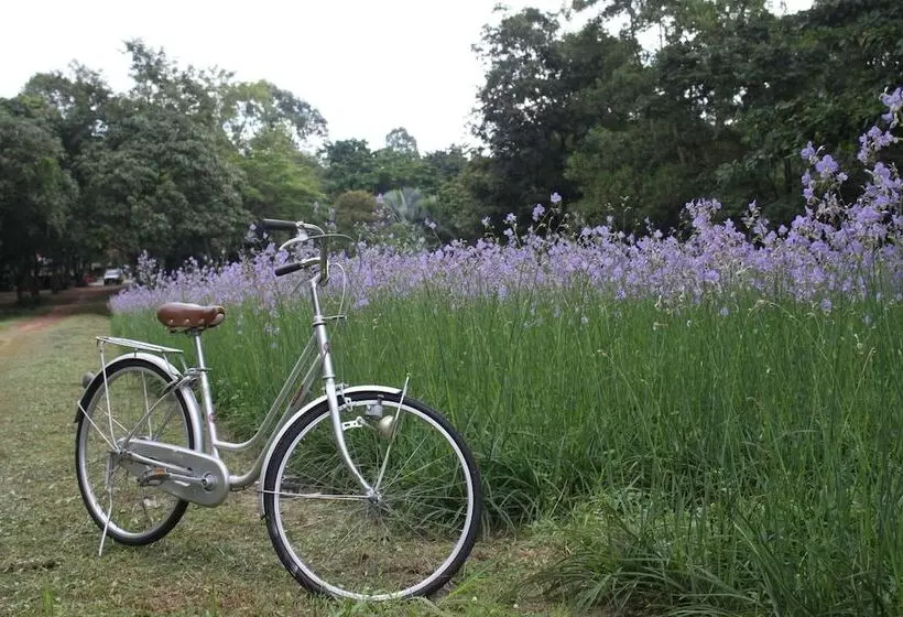 Hotelli Saksupha Resort