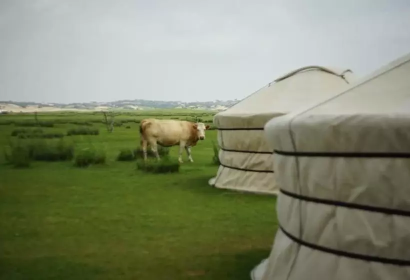 ホテル Xanadu Yurts