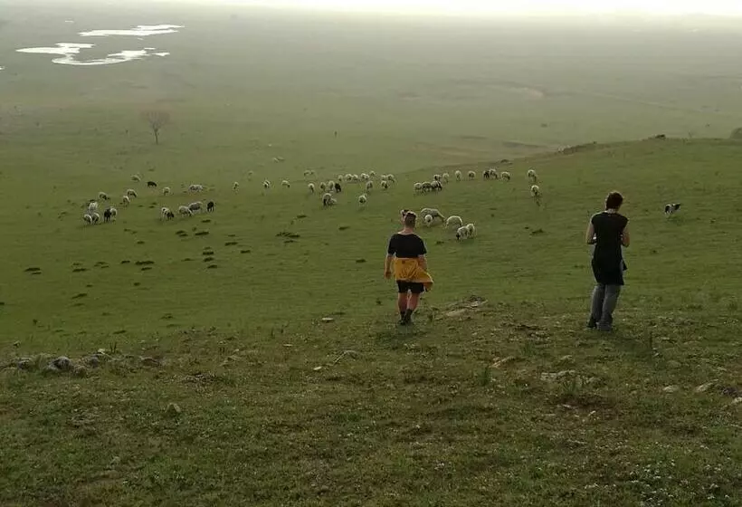 ホテル Xanadu Yurts