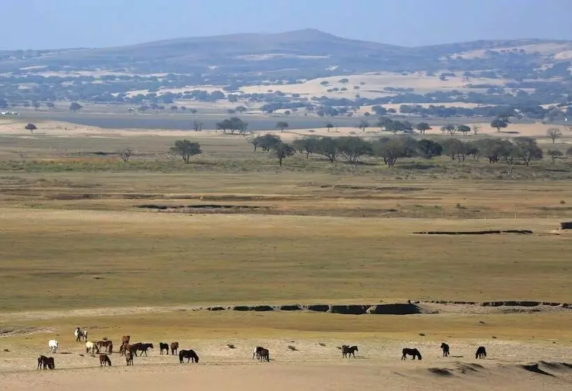 ホテル Xanadu Yurts