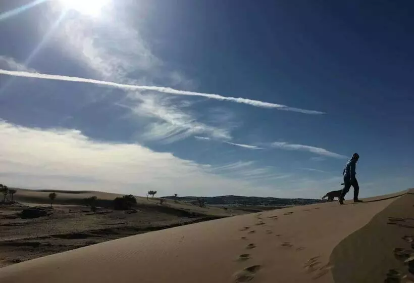 ホテル Xanadu Yurts