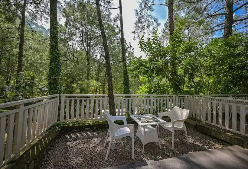 Jungle Lodge Resort