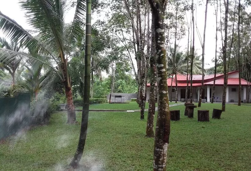 ペンション Graten Tea Garden Holiday Bungalow