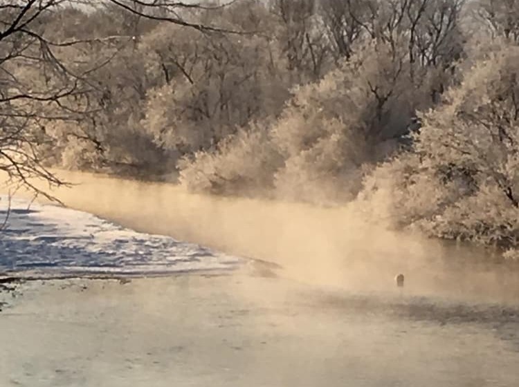 Pansiyon Heart N Tree