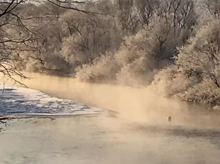 Majatalo Heart N Tree