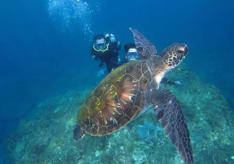 Majatalo Seadive Guest House