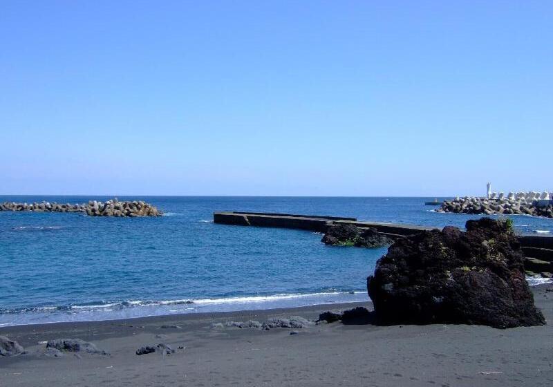 بنسيون Seadive Guest House