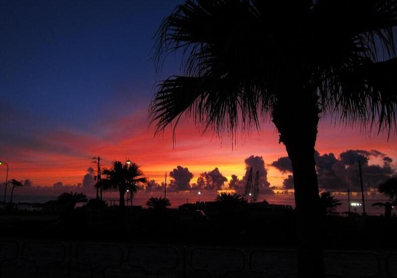 بنسيون Seadive Guest House