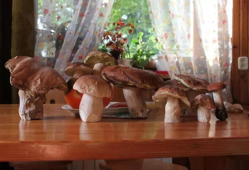 ペンション Uroczysko