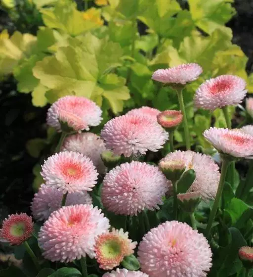 ペンション Uroczysko