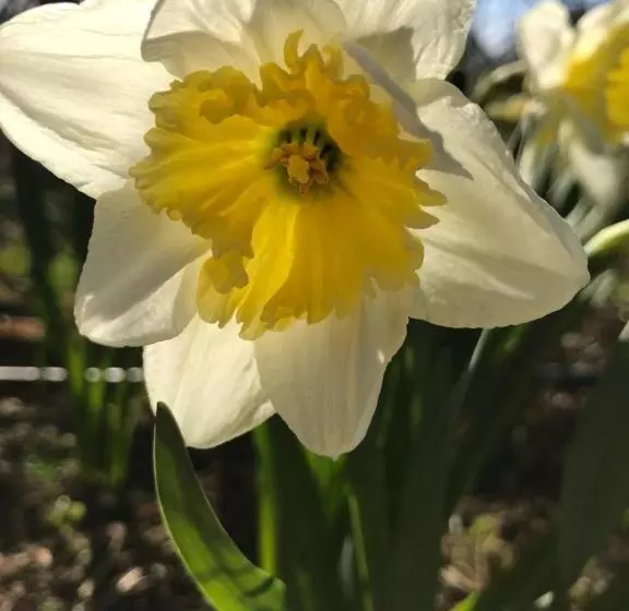 ペンション Uroczysko