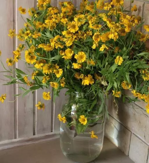 ペンション Uroczysko