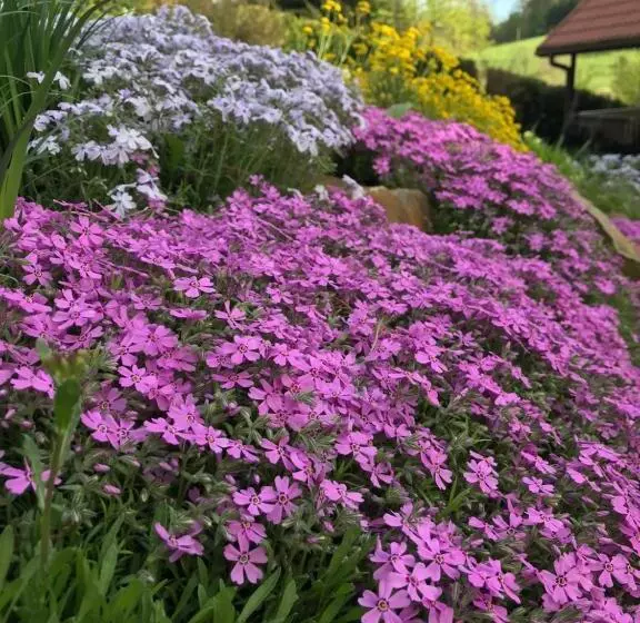 ペンション Uroczysko