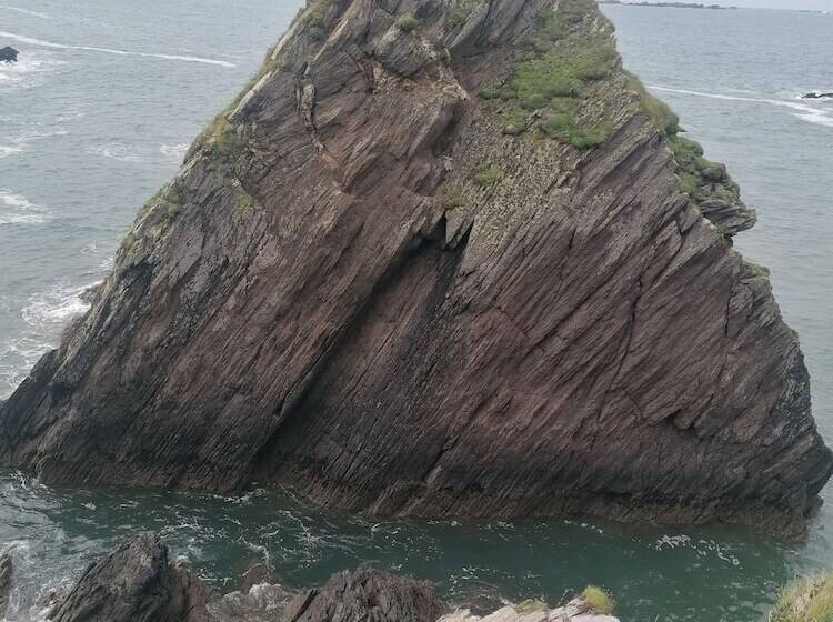 ベッドアンドブレックファースト The Anvil Bar & Restaurant