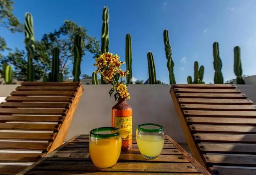Hotelli Alma De Flores Private Pools Suites