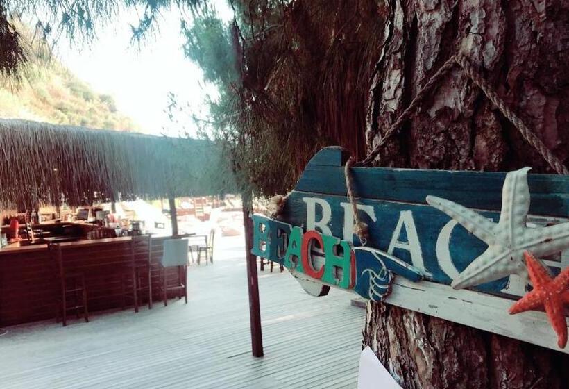 ホテル Ayanya Beach & Bistro Bungalows