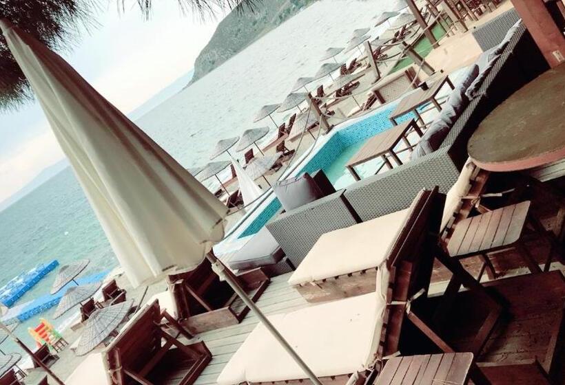 ホテル Ayanya Beach & Bistro Bungalows