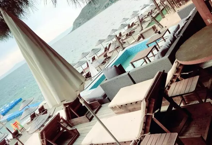 ホテル Ayanya Beach & Bistro Bungalows