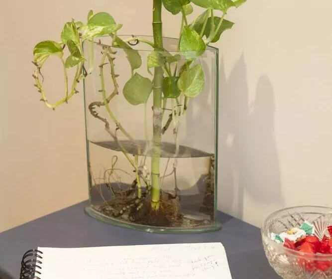 Hotelli Porto Gaia City And Beach By Mp