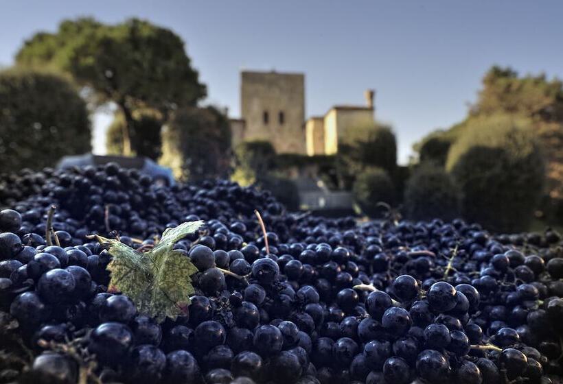 בית מלון כפרי Agriturismo La Montecchia